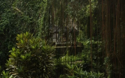 Eco-Tourism in Malaysia
