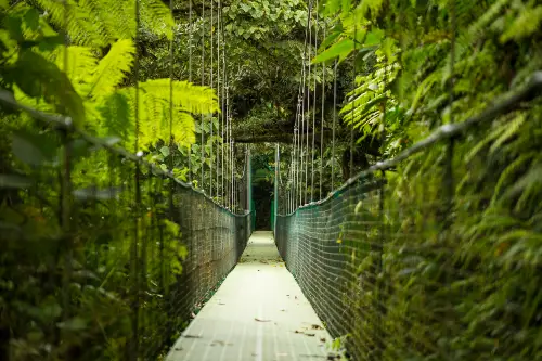 Taman Negara National Park