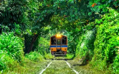Malaysia by Train The Jungle Railway and Beyond